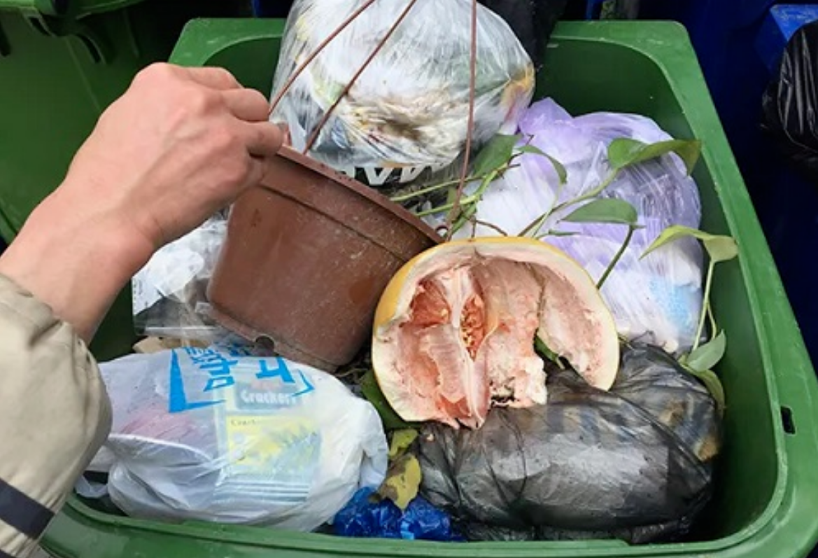 餐厅消杀建议及除虫后的注意事项