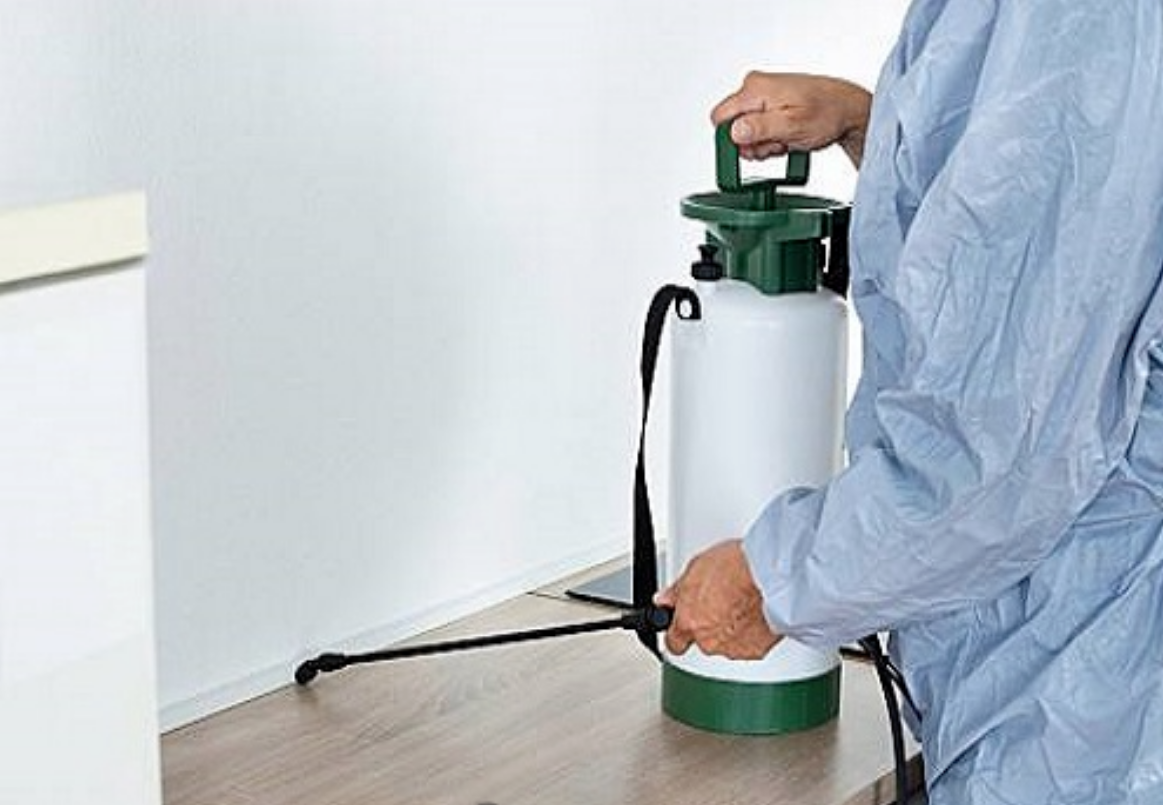 餐厅消杀建议及除虫后的注意事项